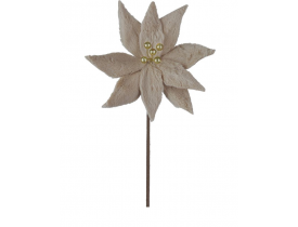 H Bico Papagaio Cotton Fendi Dourado D&A