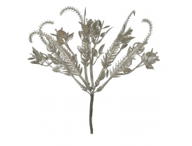 F Folha Champanhe D&A