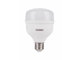 Lâmpada de Led Alta Potência 30w 6500k Luz Branca Fria Taschibra