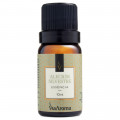 Essência Alecrim Silvestre 5ml Via Aroma