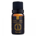 Essência Mundo Buenos Aires 10ml Via Aroma