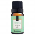 Essência Eucalipto e Hortelã 10ml Via Aroma
