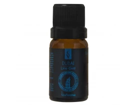 Essência Mundo Dubai 10ml Via Aroma