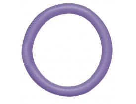 Flutuador Circular Mor 55x6cm Cor Sortida 1552