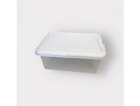Caixa Organizadora 12,5L Plasvale