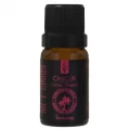 Essência Mundo Cancún 10ml Via Aroma