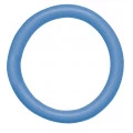 Flutuador Circular Mor 55x6cm Cor Sortida 1552
