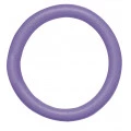 Flutuador Circular Mor 55x6cm Cor Sortida 1552