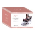 Kit Organizador Cosméticos Paramount Grande 1088