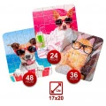 Quebra-Cabeça Progressivo Pets com 24, 34 e 48 Peças Pais e Filhos